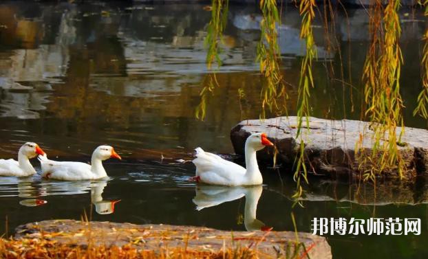山東財(cái)經(jīng)師范大學(xué)萊蕪校區(qū)2023年報(bào)名條件、招生要求、招生對(duì)象 