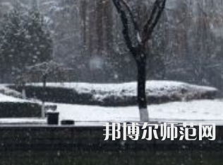 焦作師范高等?？茖W(xué)校2023年招生代碼