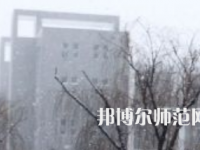 焦作師范高等?？茖W(xué)校2023年招生代碼