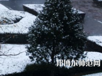 焦作師范高等?？茖W(xué)校2023年報名條件、招生要求、招生對象