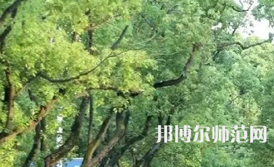 湖南理工師范學(xué)院南湖學(xué)院2023年報(bào)名條件、招生要求、招生對(duì)象