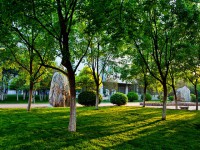 山東財(cái)經(jīng)師范大學(xué)圣井校區(qū)2023年怎么樣、好不好