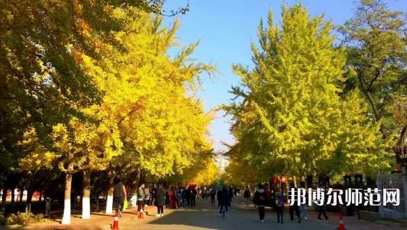 遼寧大學師范學院崇山校區(qū)2023年報名條件、招生要求、招生對象