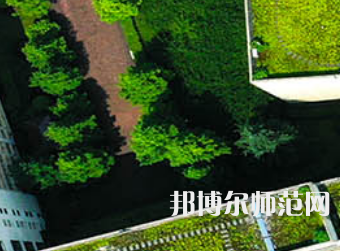 長(zhǎng)沙學(xué)院師范學(xué)院2023年有哪些專(zhuān)業(yè)