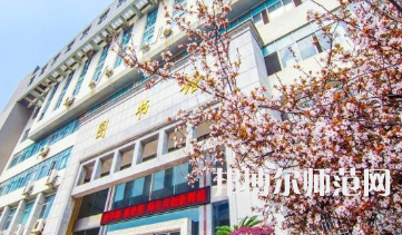 南華師范大學(xué)雨母校區(qū)2023年報(bào)名條件、招生要求、招生對(duì)象