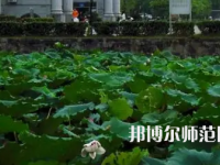 南華師范大學(xué)紅湘校區(qū)2023年報(bào)名條件、招生要求、招生對(duì)象