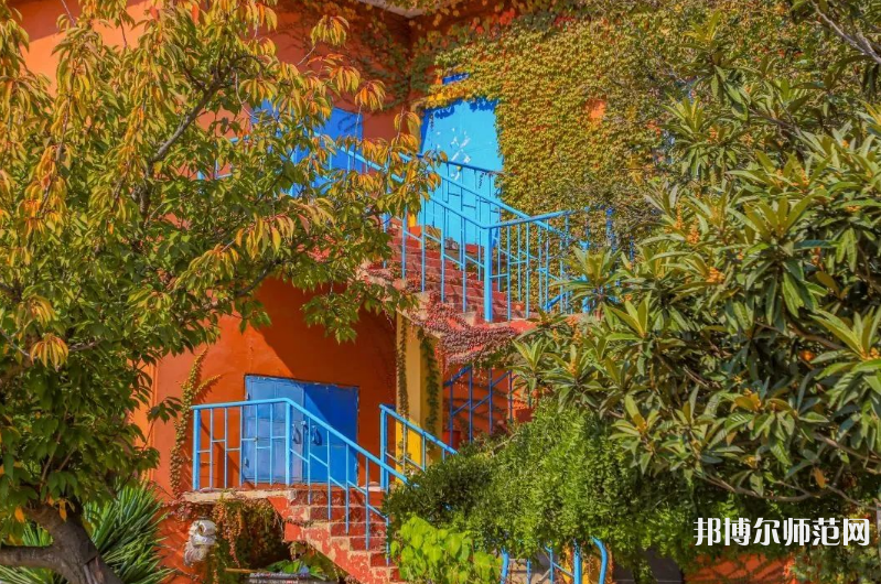 青島科技師范大學(xué)高密校區(qū)2023年報(bào)名條件、招生要求、招生對(duì)象 