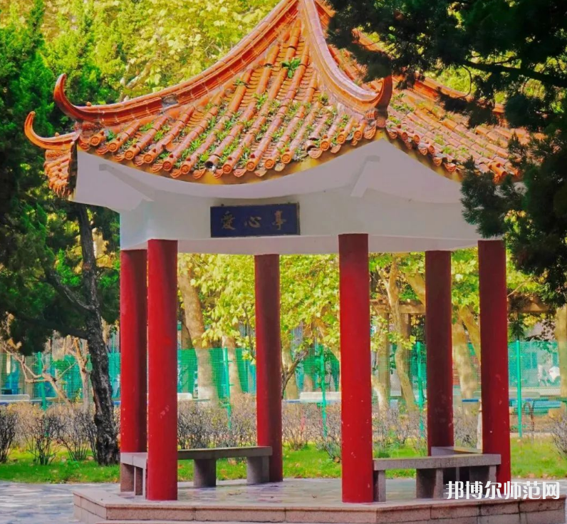 青島科技師范大學(xué)高密校區(qū)歷年錄取分數(shù)線