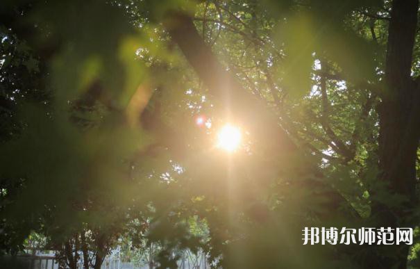 西安職業(yè)中等幼師專業(yè)學校2023年報名條件、招生要求、招生對象