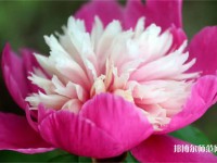 海南師范大學(xué)2023年報(bào)名條件、招生要求、招生對(duì)象