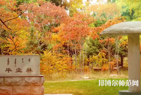 內(nèi)蒙古大學(xué)師范學(xué)院滿洲里學(xué)院2023年怎么樣、好不好