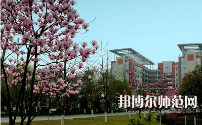 長江師范學(xué)院2023年報(bào)名條件、招生要求、招生對象 