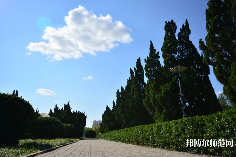 山東石油化工師范學(xué)院2023年報(bào)名條件、招生要求、招生對(duì)象 