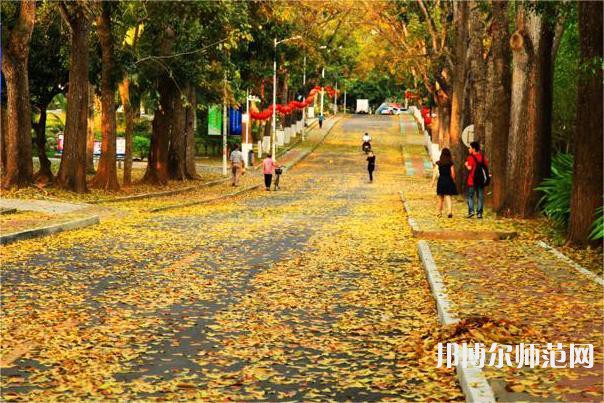 海南大學師范學院海甸校區(qū)2023年報名條件、招生要求、招生對象 