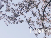 湖南第一師范學(xué)院城南書院校區(qū)2023年學(xué)費(fèi)、收費(fèi)多少