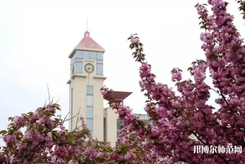 青島師范大學(xué)金家?guī)X校區(qū)2023年報(bào)名條件、招生要求、招生對(duì)象 