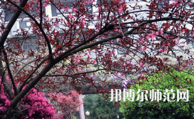 湖南第一師范學(xué)院城南書院校區(qū)2023年怎么樣、好不好