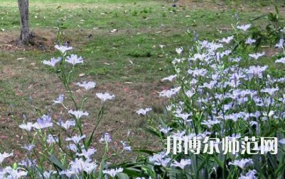 湖南第一師范學(xué)院城南書院校區(qū)2023年怎么樣、好不好