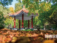 黑龍江師范大學2023年報名條件、招生要求、招生對象