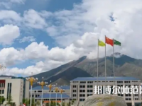 拉薩師范高等?？茖W(xué)校2023年招生代碼