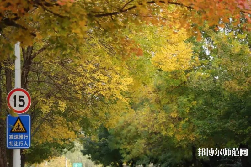 濟(jì)南幼兒師范高等?？茖W(xué)校2023年有哪些專業(yè)