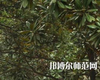 湖南師范大學(xué)樹達學(xué)院2023年學(xué)費、收費多少