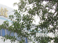 湖南師范大學(xué)樹達(dá)學(xué)院2023年怎么樣、好不好