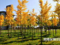 瀘州幼師職業(yè)技術(shù)學(xué)校2023年學(xué)費、收費多少