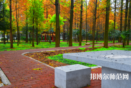 長(zhǎng)江大學(xué)文理學(xué)院2023年怎么樣、好不好