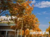 南京師范大學(xué)泰州學(xué)院2023年報(bào)名條件、招生要求、招生對象