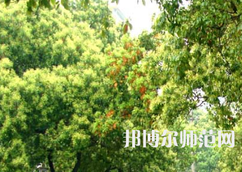 衡陽(yáng)師范學(xué)院南岳學(xué)院2023年怎么樣、好不好