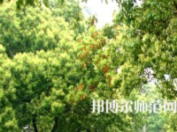 衡陽師范學院南岳學院2023年怎么樣、好不好