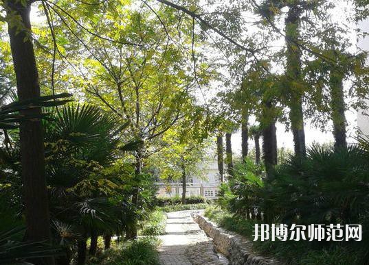 西北大學(xué)師范學(xué)院桃園校區(qū)2023年怎么樣、好不好