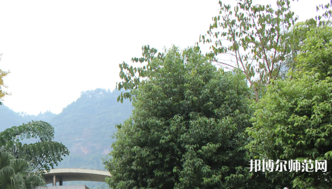 自貢大安幼師職業(yè)技術(shù)學(xué)校2023年學(xué)費(fèi)、收費(fèi)多少
