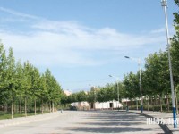 西北大學(xué)師范學(xué)院太白校區(qū)2023年報(bào)名條件、招生要求、招生對(duì)象
