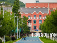 2023年貴陽幼兒師范高等?？茖W校舞蹈表演專業(yè)介紹